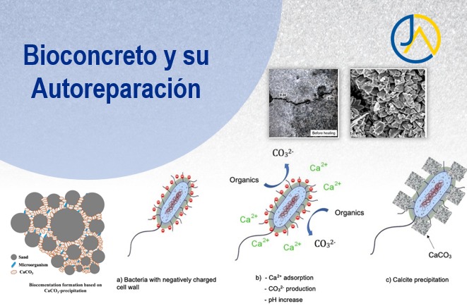 Bioconcreto y su Autoreparación