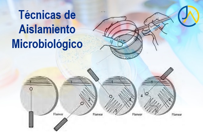 Técnicas de Aislamiento